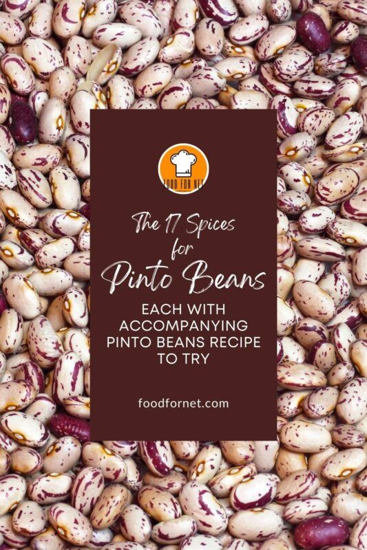 17 Spices for Pinto Beans, With Recipes! Food For Net