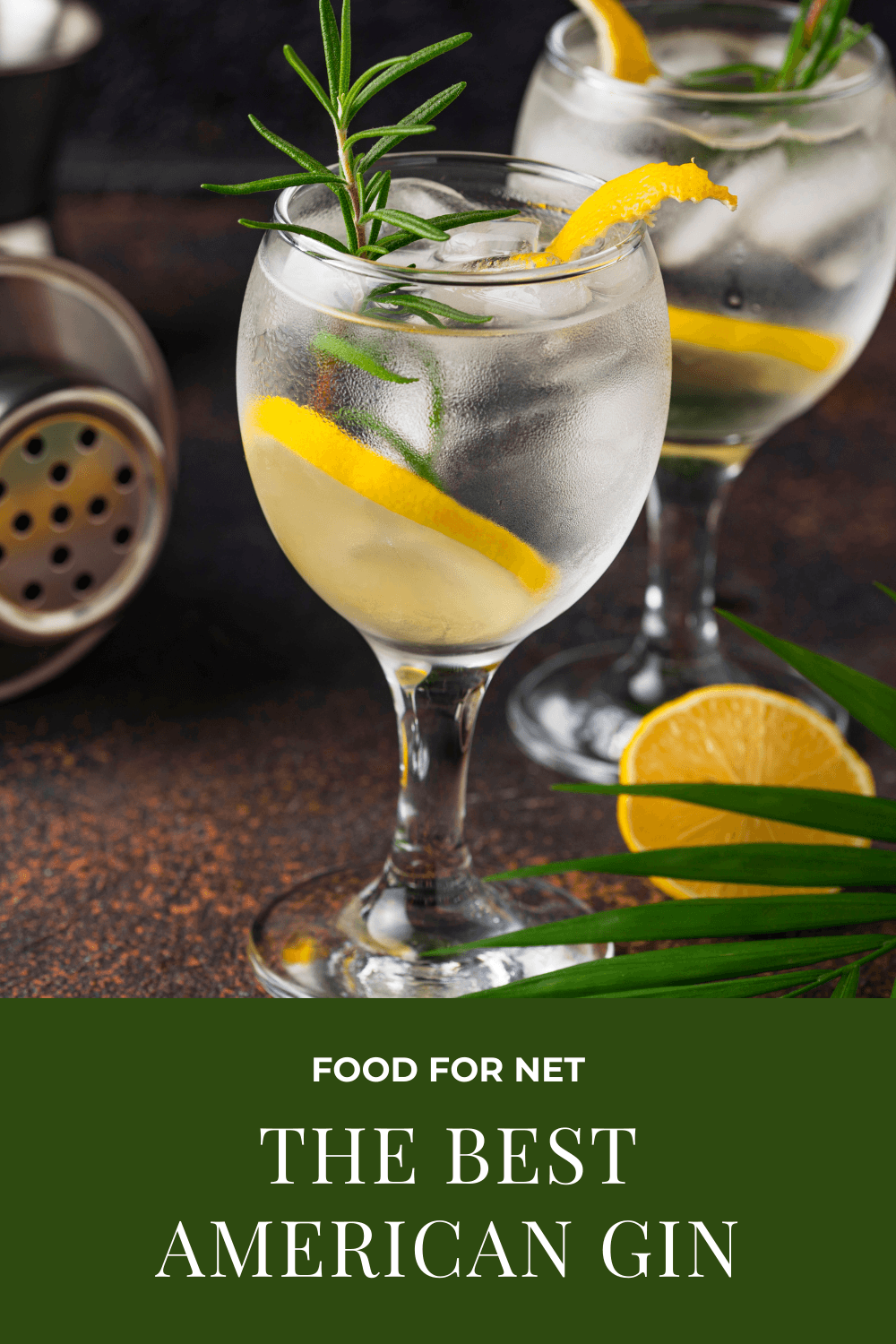 Two glasses of gin and tonic with lemon