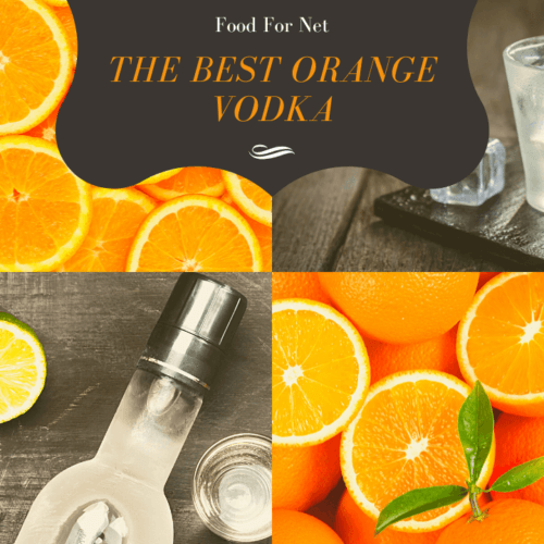 The Best MidRange Vodka Food For Net