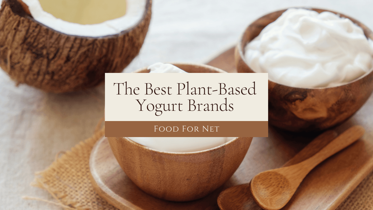 5 Best PlantBased Yogurt Brands Food For Net
