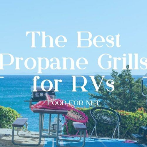 Best Gas Grills for Apartment Balconies Food For Net