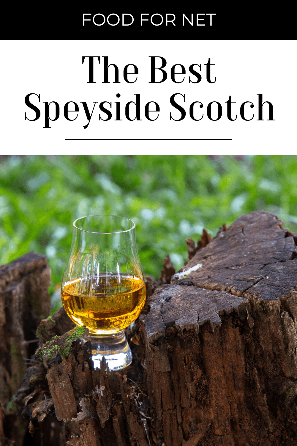 A glass of Speyside Scotch whisky on a tree stump, as an illustration of the best Speyside Scotch