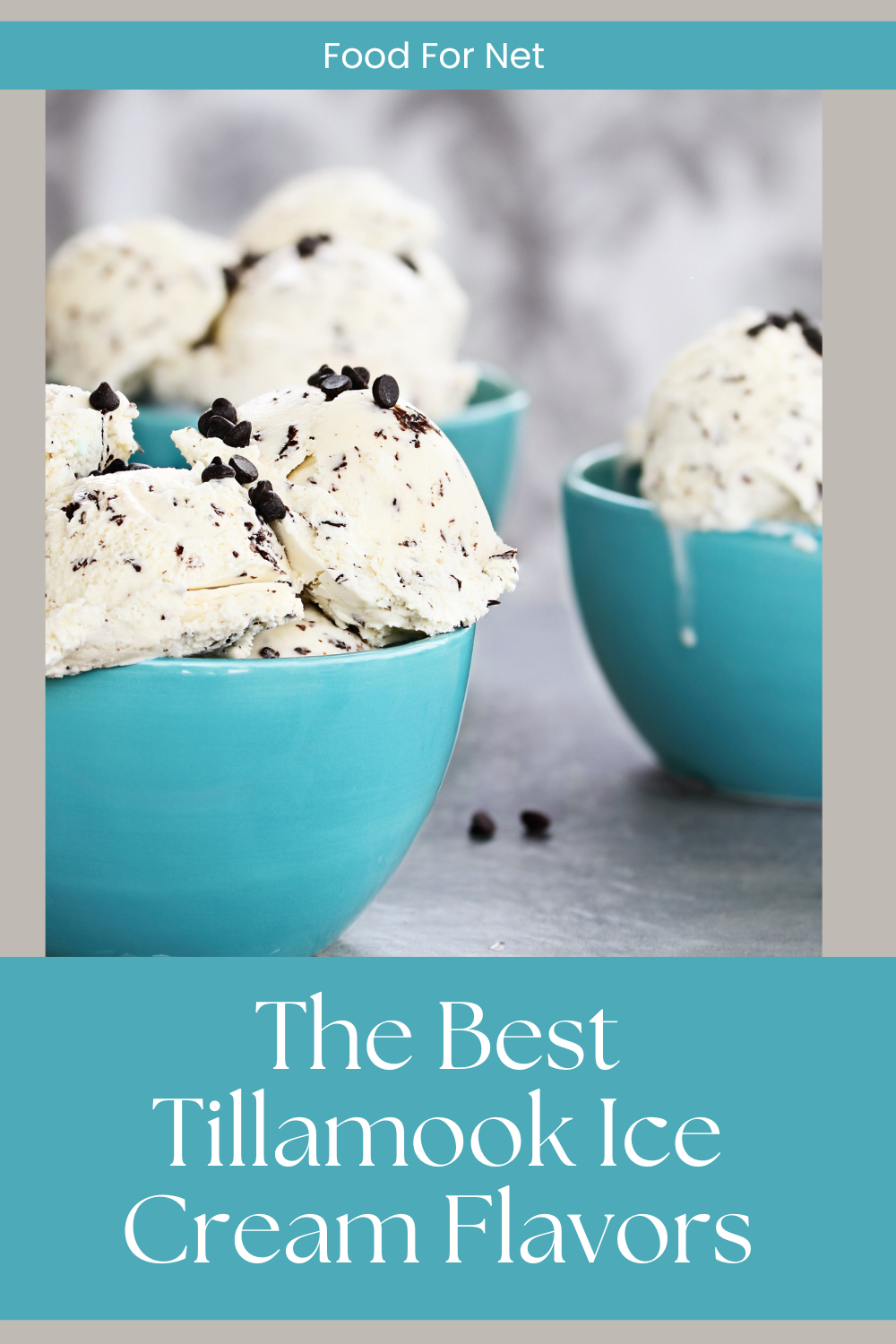 Light blue bowls containing chocolate chip Tillamook ice cream, highlighting some of the best Tillamook ice cream flavors