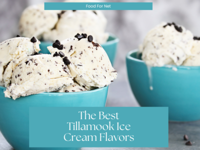 Light blue bowls containing chocolate chip Tillamook ice cream, highlighting some of the best Tillamook ice cream flavors