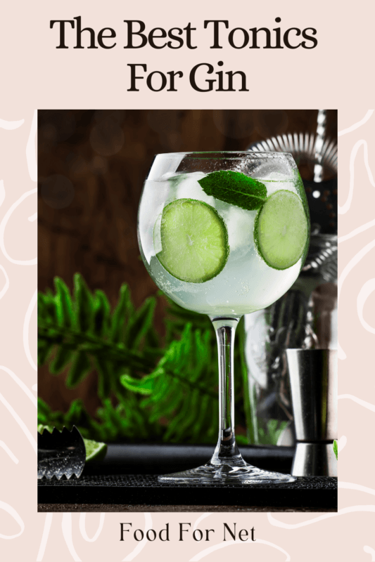 The Best Tonics For Gin Food For Net