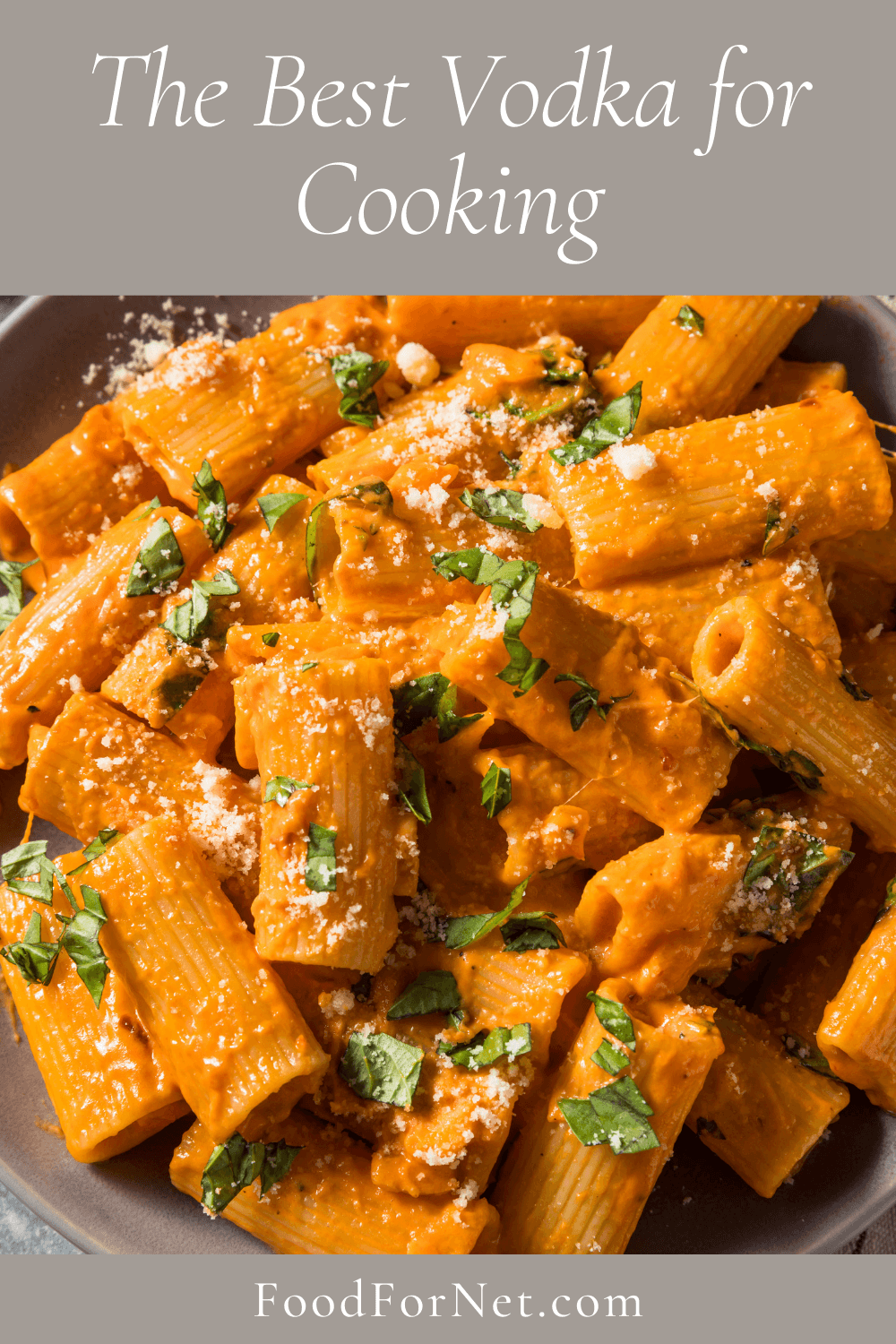 Best Vodka For Cooking. Freshly prepared vodka penne pasta with cheese and herbs