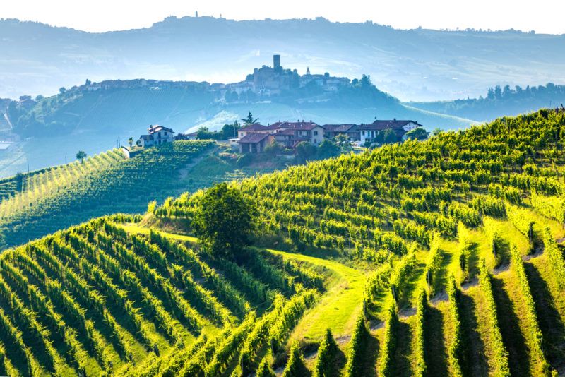 The Piedmont Wine Region for Brachetto Grapes