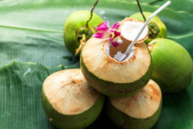 A coconut leaf with fresh young coconuts, some of which have been opened