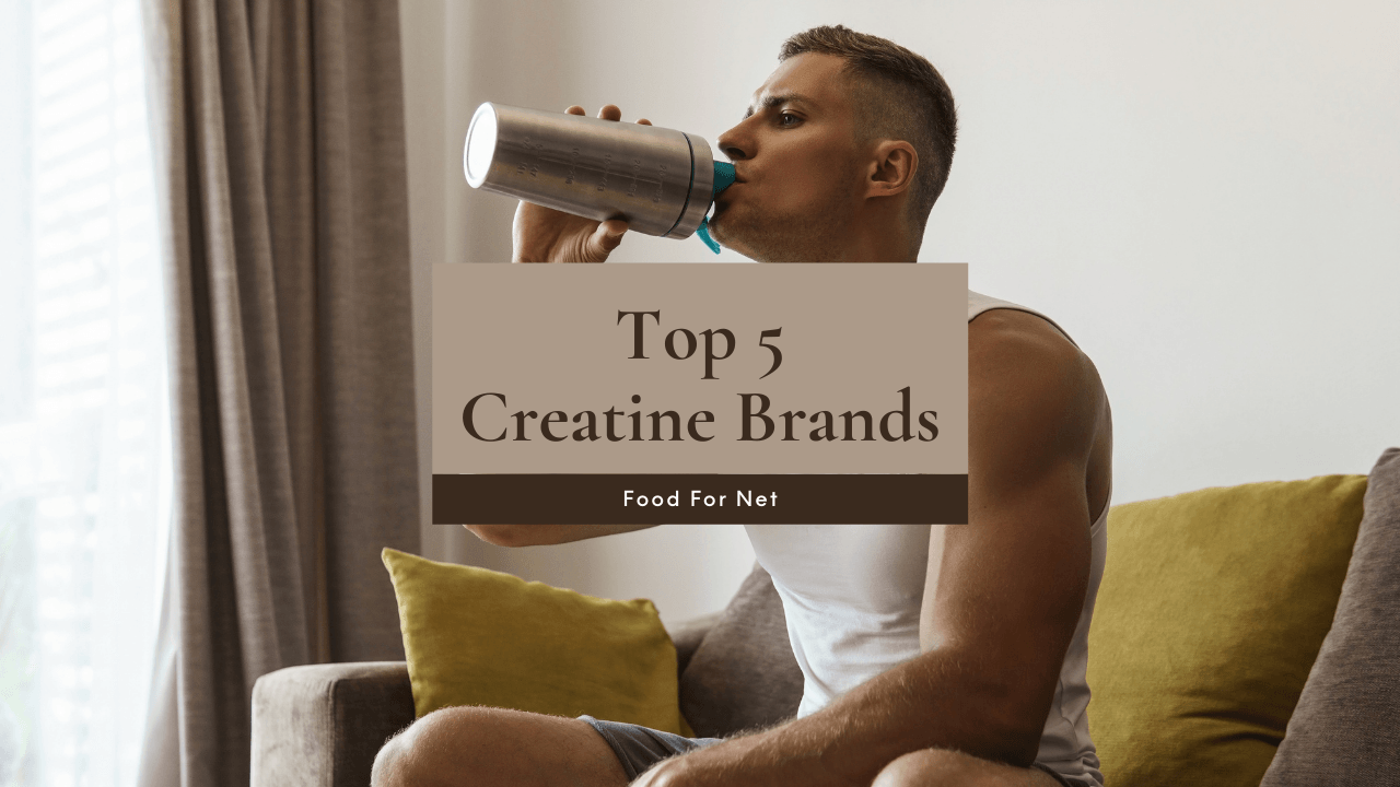 5 Best Creatine Brands Food For Net
