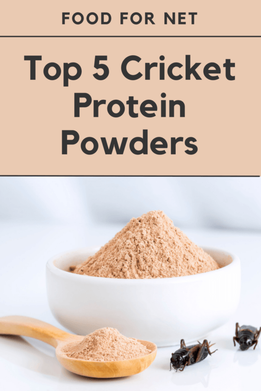 5 Best Cricket Protein Powder Brands Food For Net