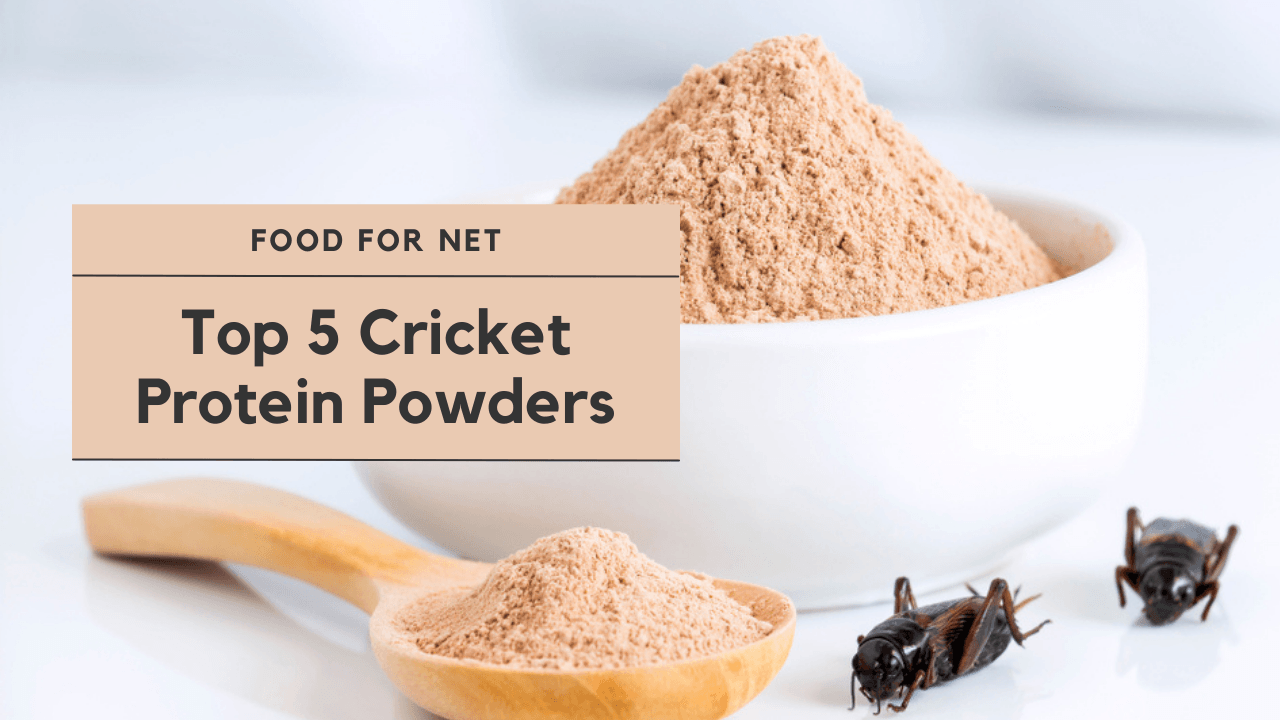 5 Best Cricket Protein Powder Brands Food For Net