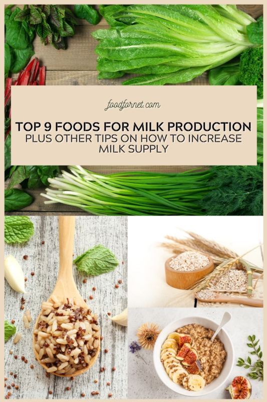 Top 9 Foods for Milk Production Plus Other Tips on How To Increase Milk