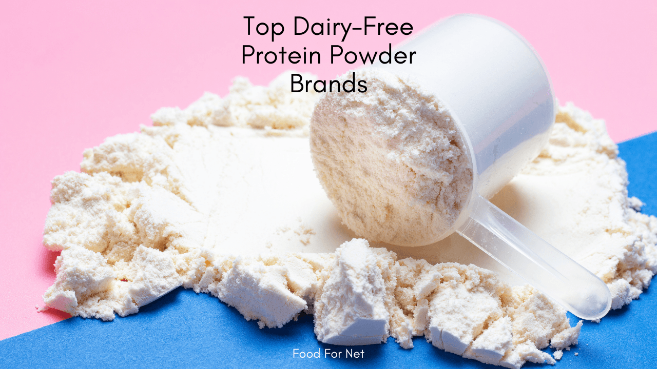 5 Best DairyFree Protein Powder Brands Food For Net