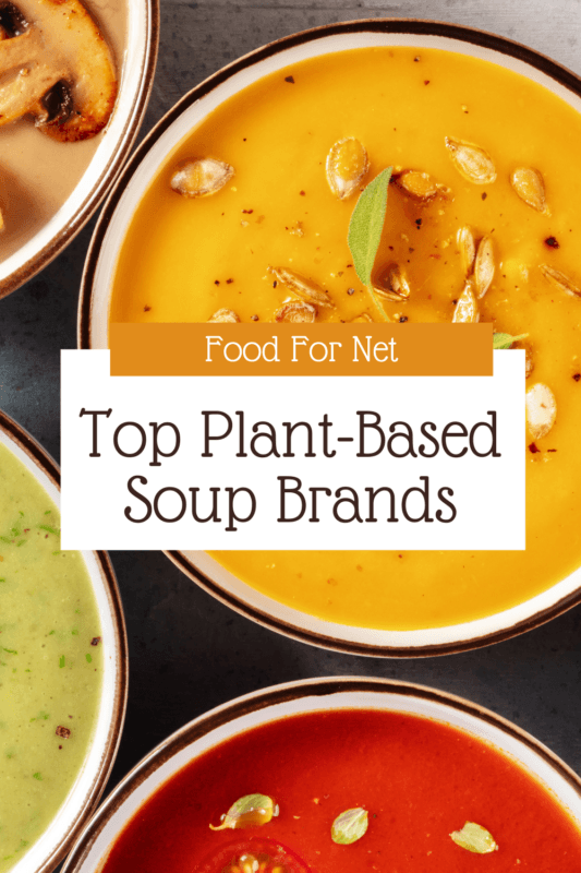 5 Best PlantBased Soup Brands Food For Net
