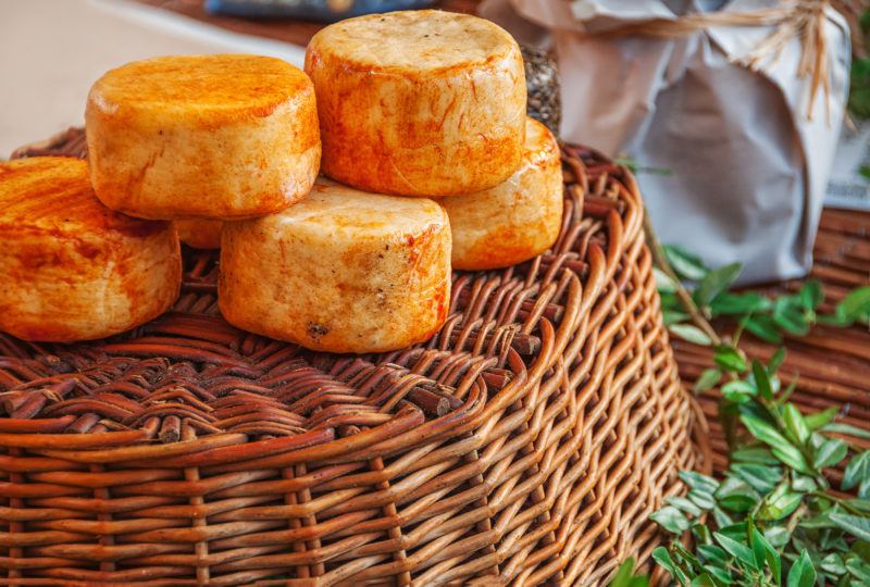 Traditional artisan spain cheese of goat and sheep