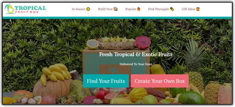 Tropical Fruit Box