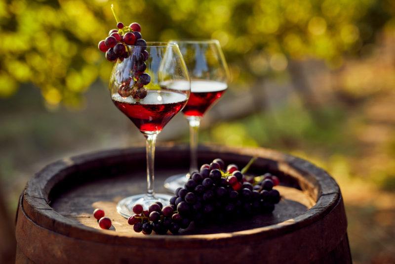 Two glasses of red wine next to a bunch of grapes on top of a wine barrel in a vineyard