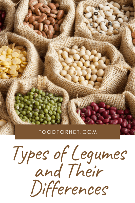 The Types Of Legumes, Their Differences, And Health Impacts Food For Net