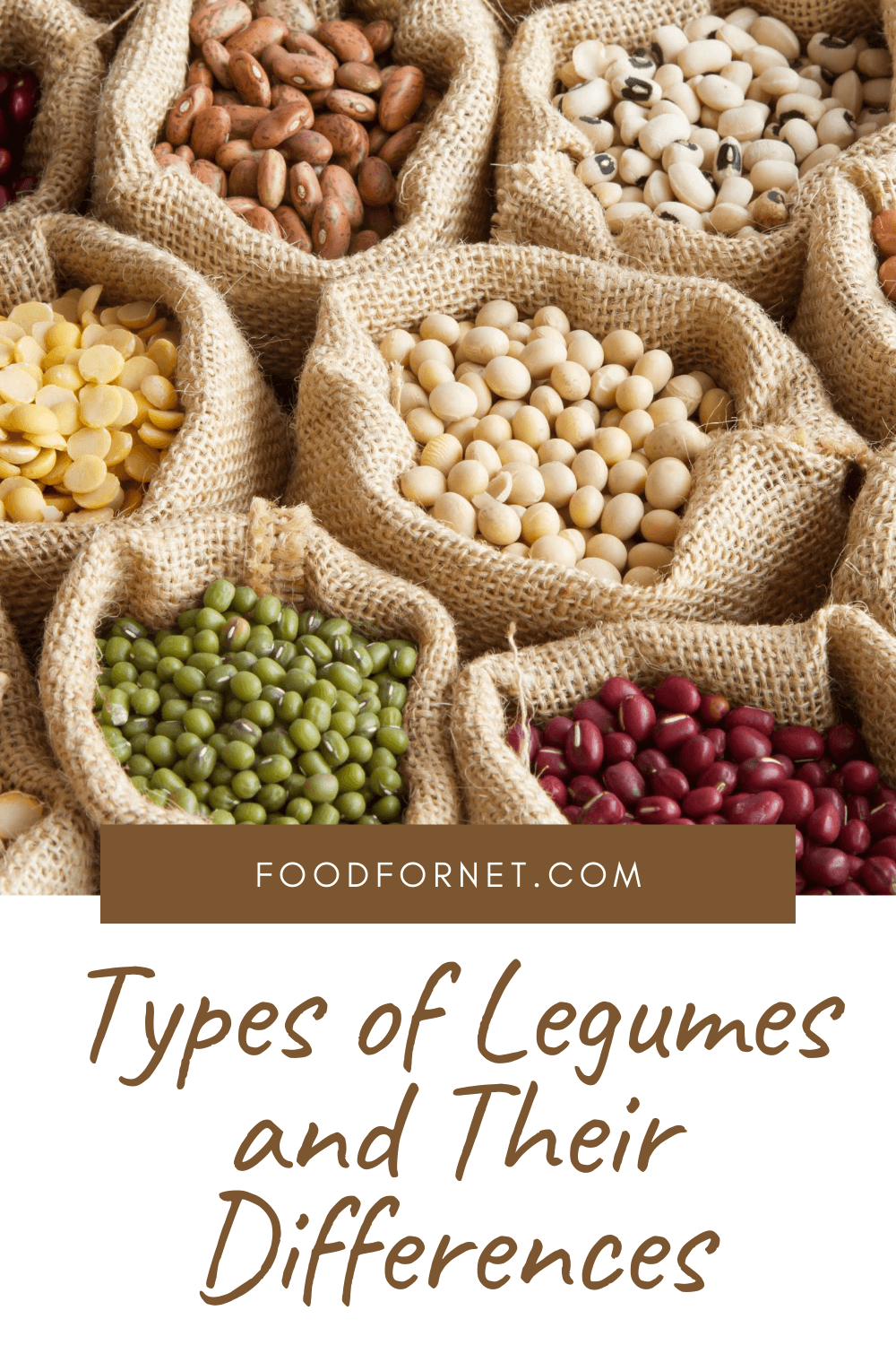 Types Of Legumes 