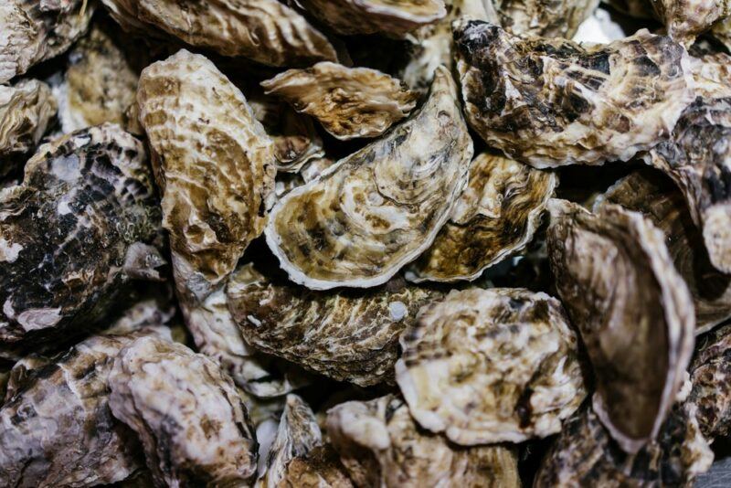 A pile of raw oysters that are still in their shells