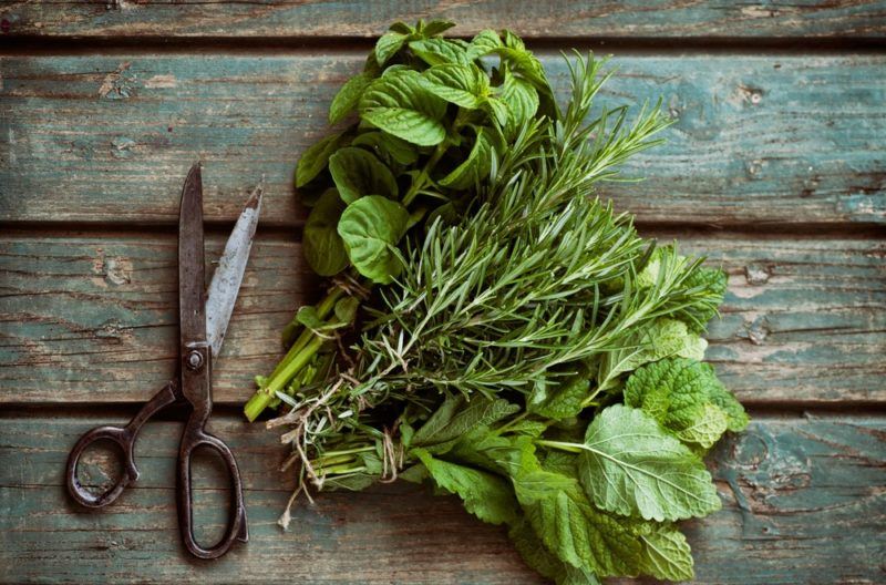 A wooden table with herb scissors and sprigs of fresh rosemary and mint