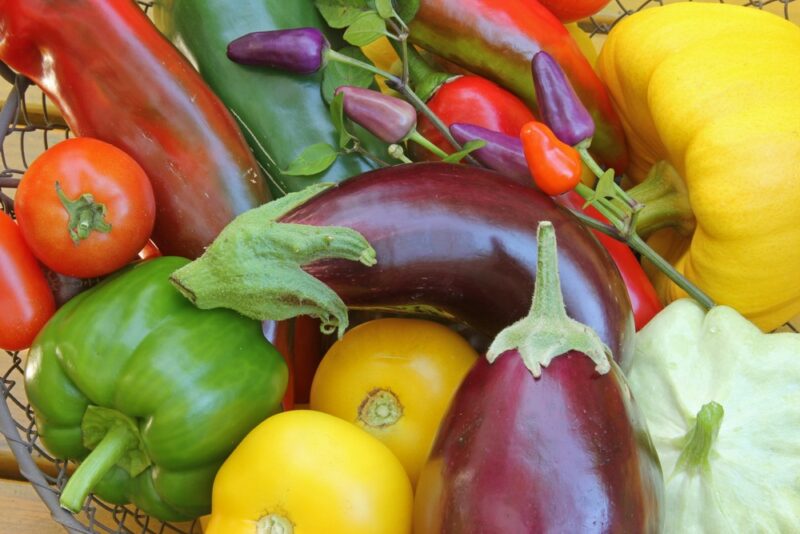 A selection of nightshade vegetables in a pile, including eggplants, peppers, and tomatoes