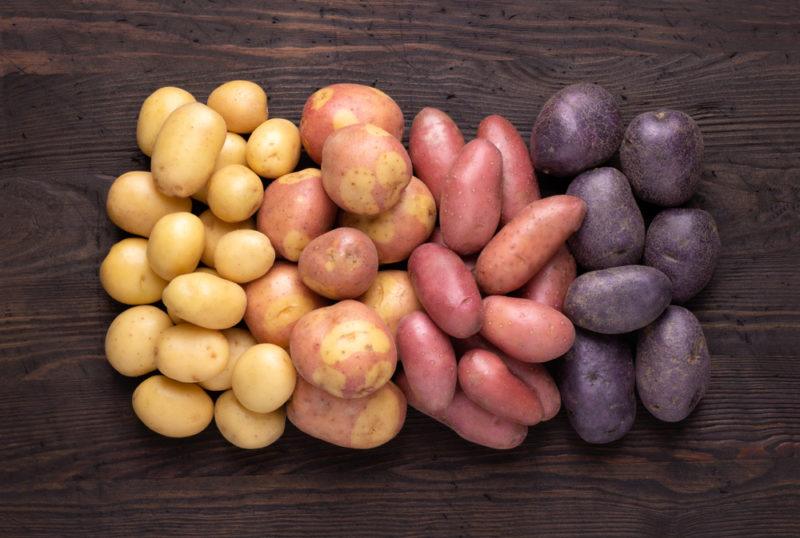 Four types of potato, ranging from white to purple, laid out in groups on a wooden table