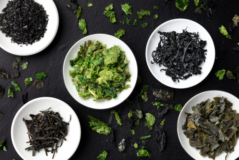 Small white plates with fresh seaweed, with more seaweed scattered on the table