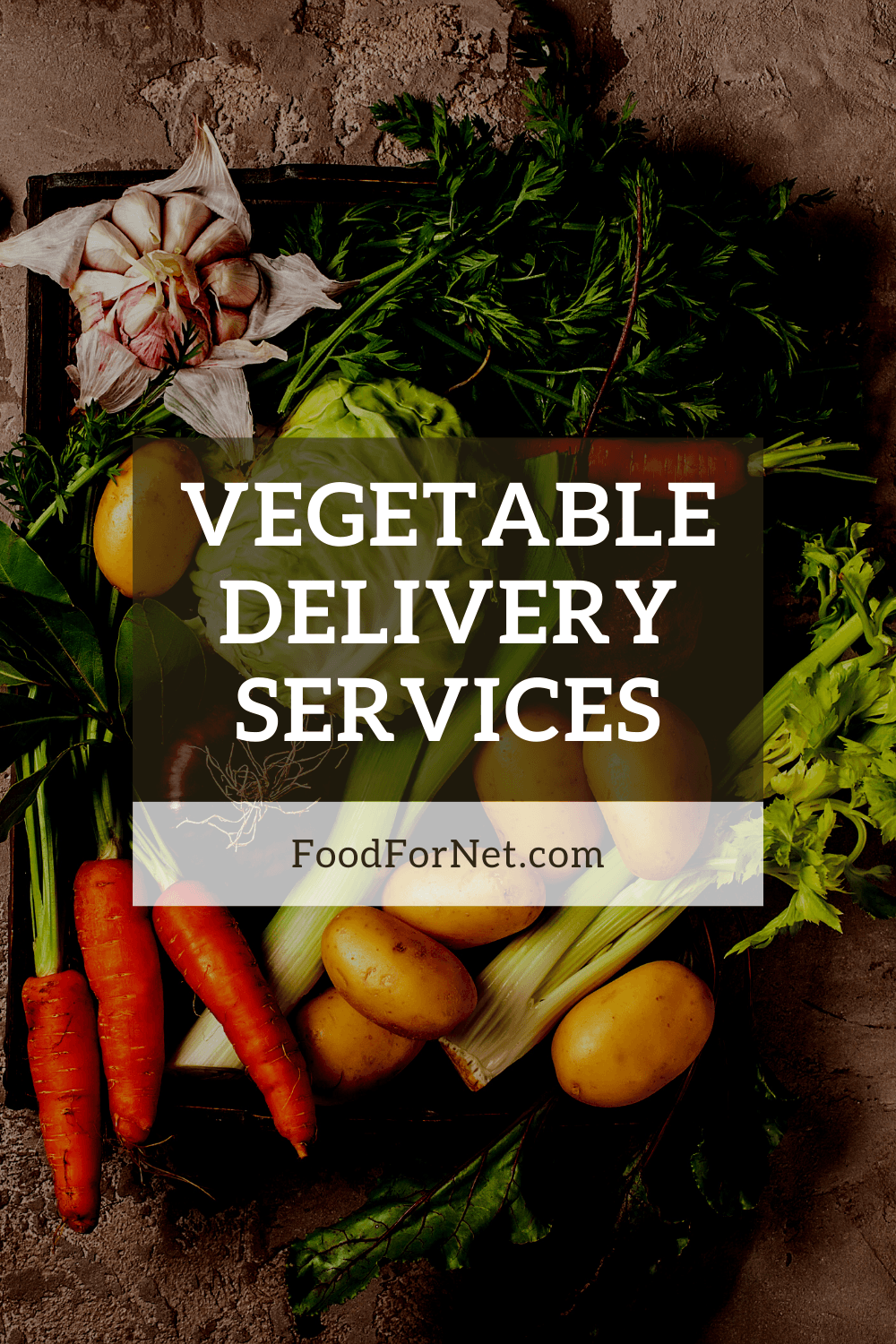 10 Vegetable Delivery Services Food For Net