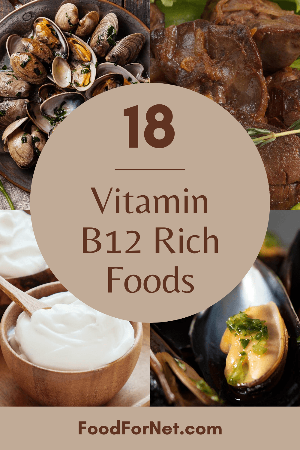 Four types of vitamin B12 rich foods, including yogurt and seafood