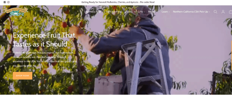 A website screenshot from Frog Hollow Farm showing someone standing on a ladder picking peaches or apples