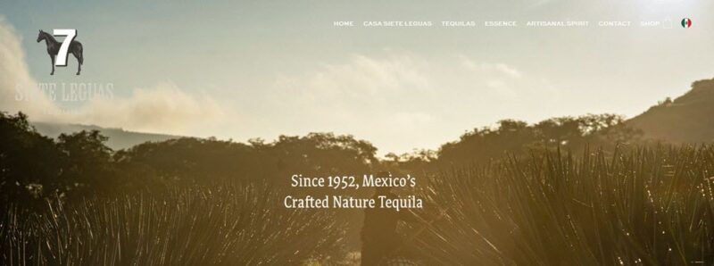 Website screenshot from Siete Leguas