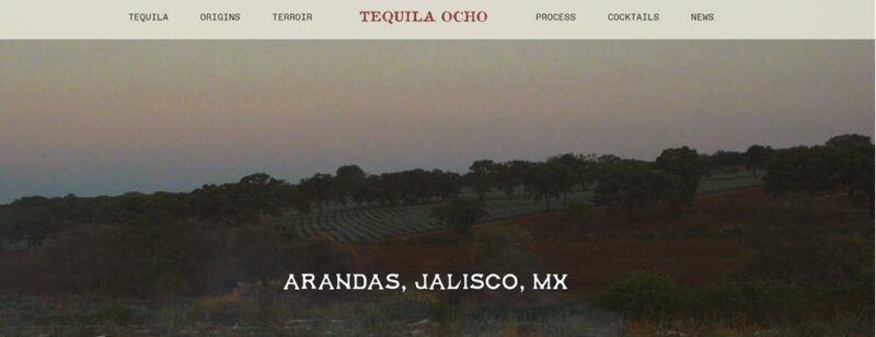 Website screenshot from Tequila Ocho