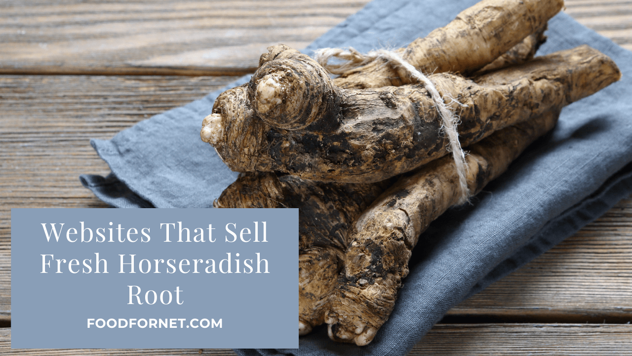 Buy Fresh Horseradish Root Online From These 4 Websites Food For Net