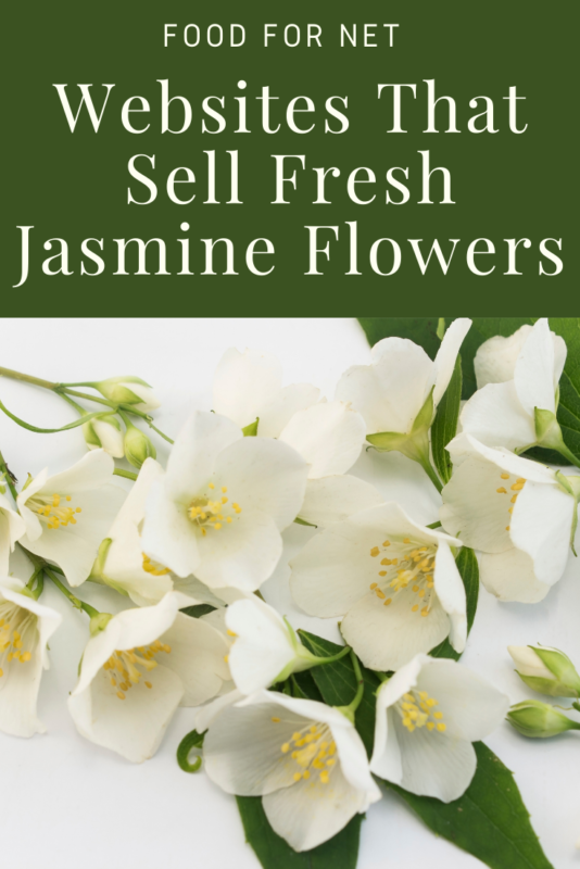 Buy Fresh Jasmine Flowers Online From These 4 Websites Food For Net