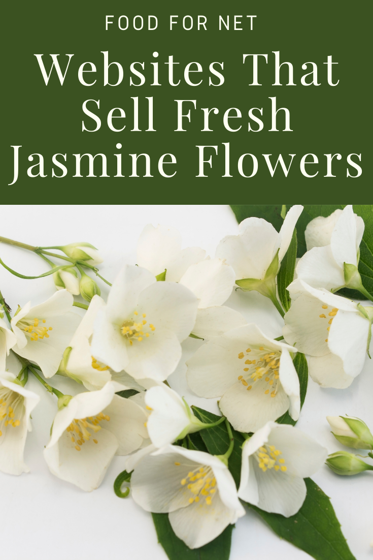 Some fresh white jasmine flowers on a white background with their leaves still attached