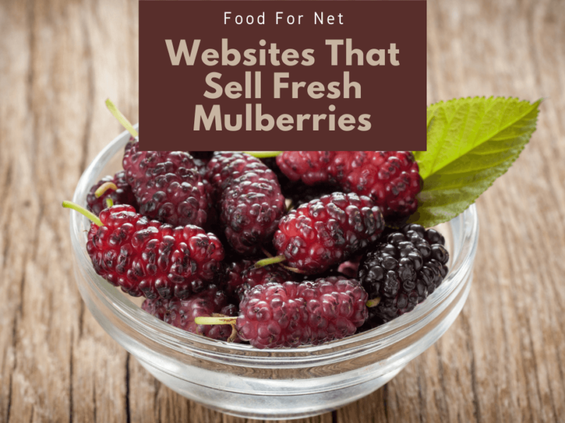 Buy Fresh Cranberries Online From These 4 Websites | Food For Net