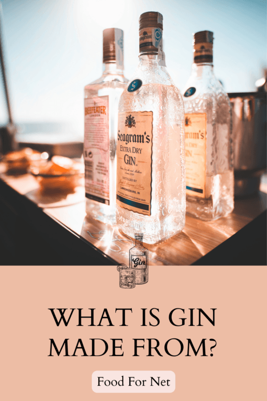 What Is Gin Made From, And What Are Botanicals? Food For Net