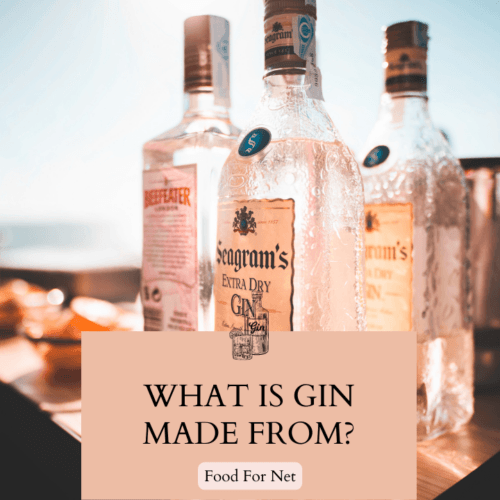 Top 19 Gin Mixers For Fast, Easy And Delicious Drinks Food For Net