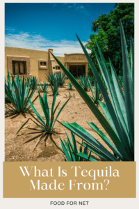 What Is Tequila Made From? | Food For Net