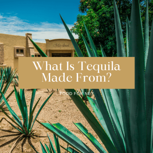 Top 14 Tequila Mixers That Are Easy And Taste Fantastic Food For Net