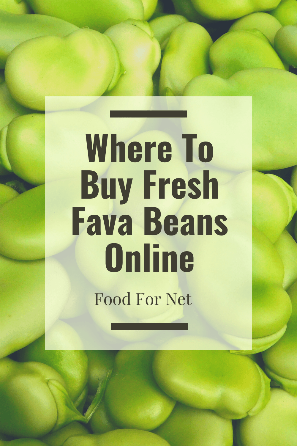 buy-fresh-fava-beans-online-from-these-5-websites-food-for-net