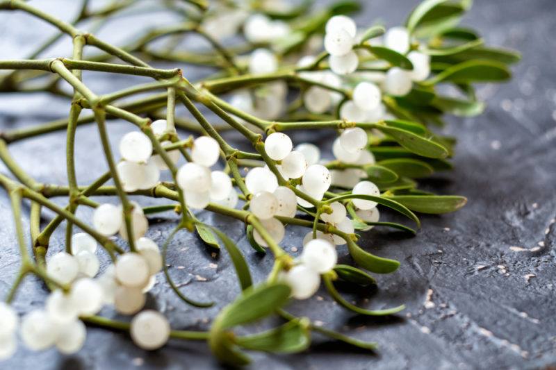 een takje maretak met witte bessen en bladeren op een zwarte achtergrond