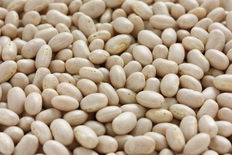 A large number of white navy beans