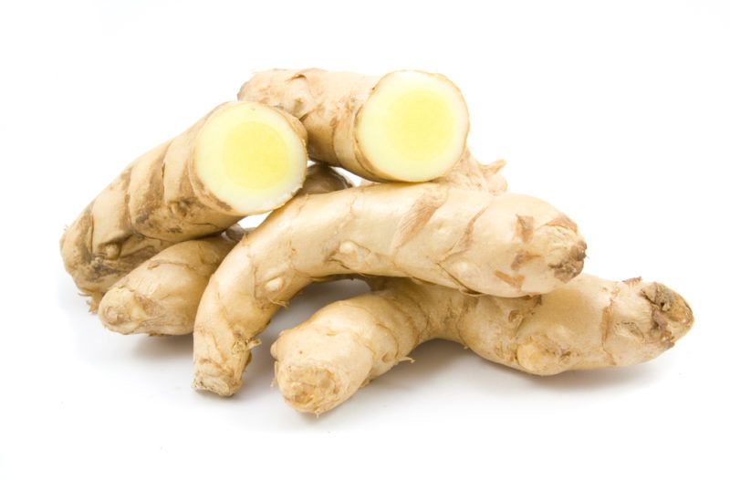 White turmeric isolated on a white background with some rhizomes cut open