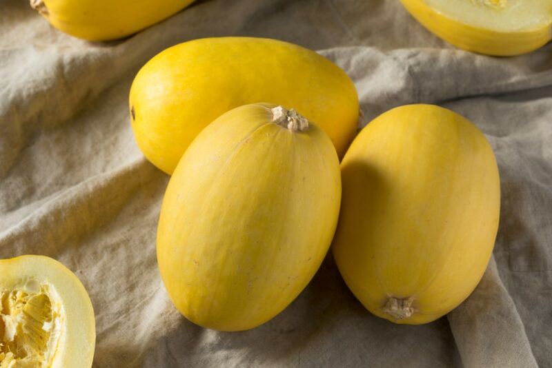 Three large yellow spaghetti squashes in on a table