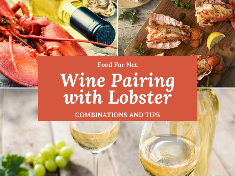 5 Red Wines To Drink With Mexican Food Food For Net