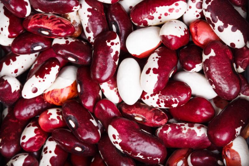 a closeup image of a spread of anasazi beans