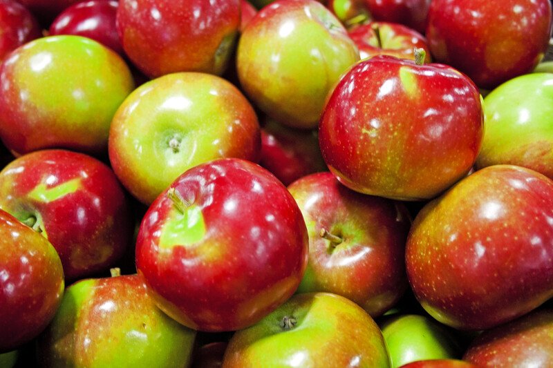 This photo shows an overhead view of several shiny red and green apples.