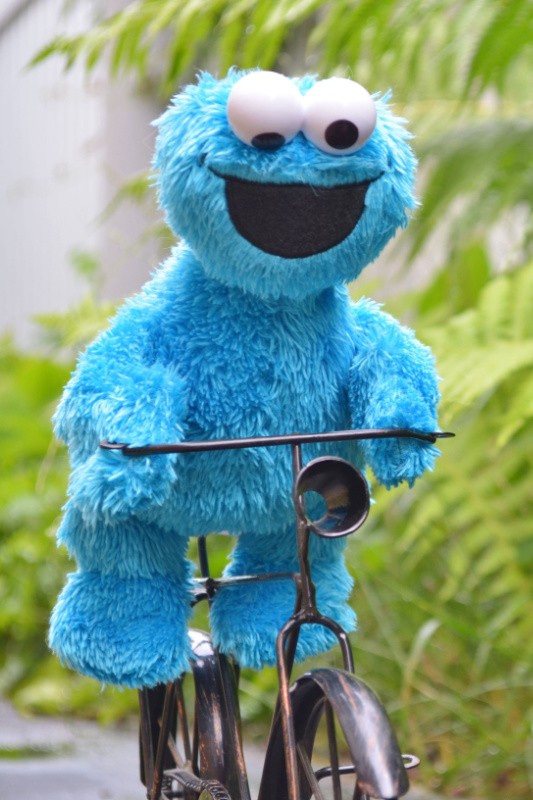 baby cookie monster on a bike looking for cookies